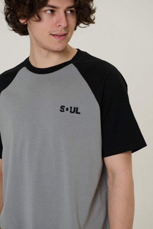 футболка мужская 2888-23 - Mix-mode фото 4