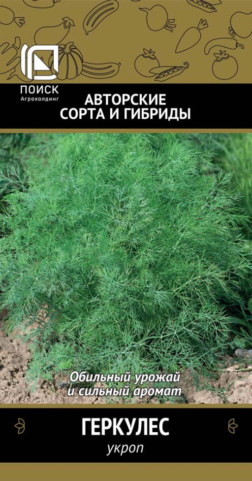 Укроп Геркулес (А) (ЦВ) 3гр. - Поиск фото 2