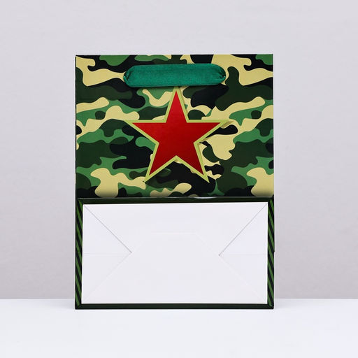 Цена за 2 шт. Пакет подарочный ламинированный вертикальный 23 февраля, 18?23?10 см