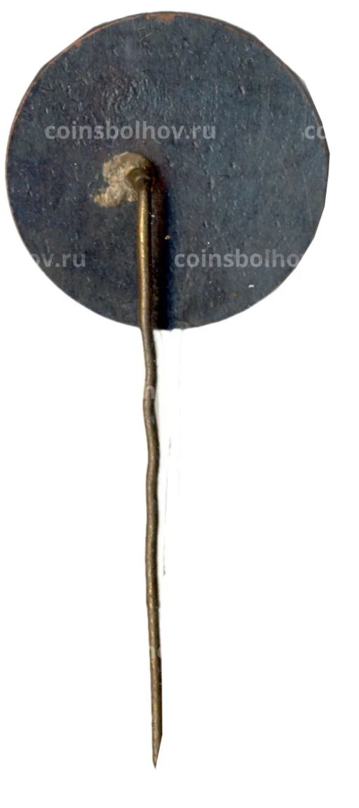 Значок Рига