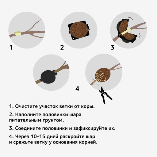 Цена за 2 шт. Шар для укоренения растений, d = 8 см, под ветку 1 см, чёрный , Greengo  фото 3