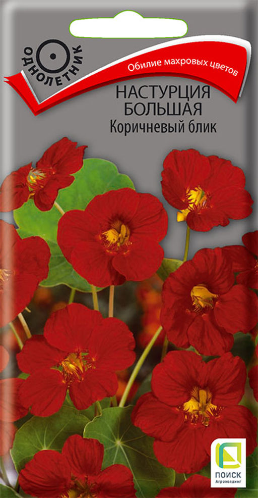 Настурция большая Коричневый блик (ЦВ) (1) 1гр. - Поиск фото 2
