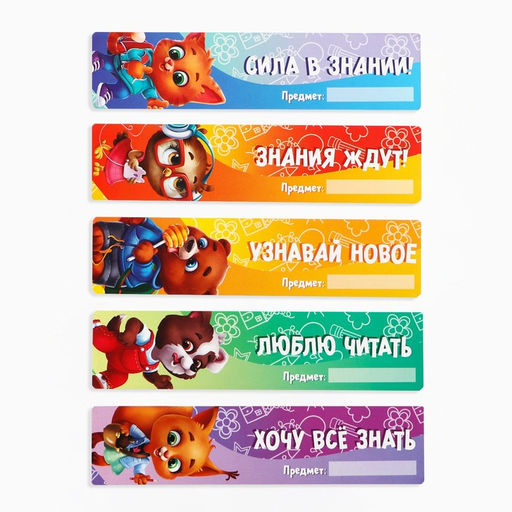 Подарочный набор, 18 предметов «Выпускник»