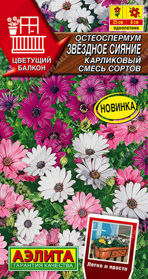 1649A Остеоспермум Звездное сияние карликовый, смесь сортов 10шт