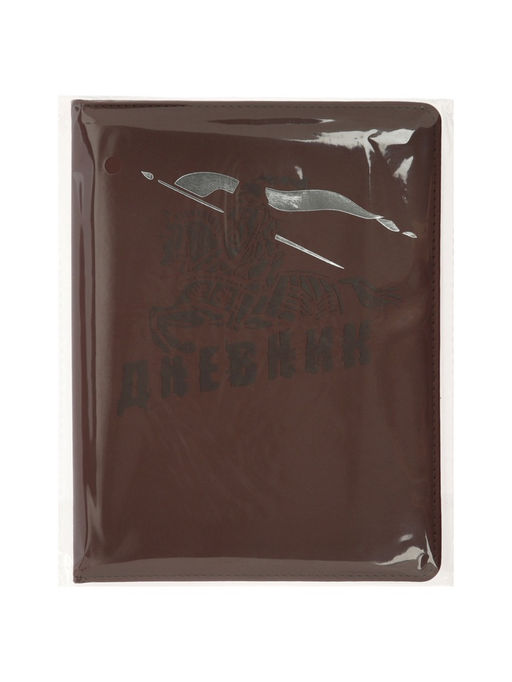 Дневник школьный 1-11 класс, лассе, обложка искуственная кожа коричневая, Рыцарь