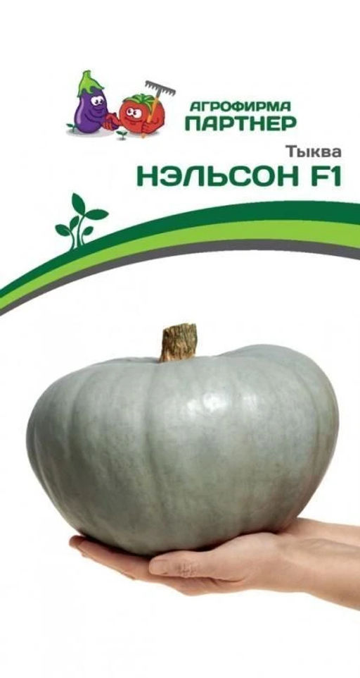 Тыква Нэльсон