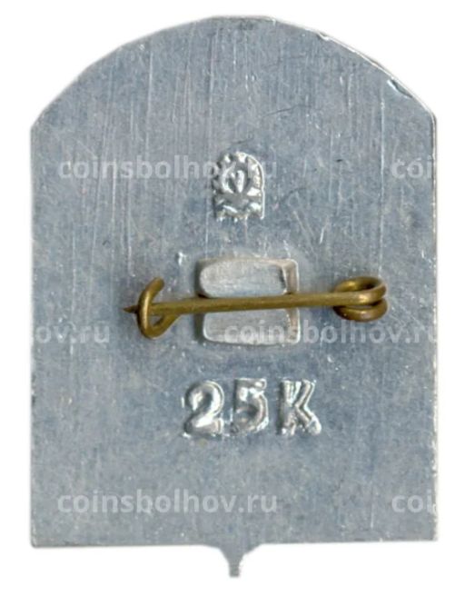 Значок Железногорск-Илимский