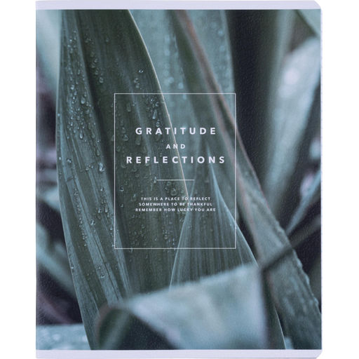 Тетрадь общая, BS, А5, 48л., клетка, скрепка. Botanica, агава N4167