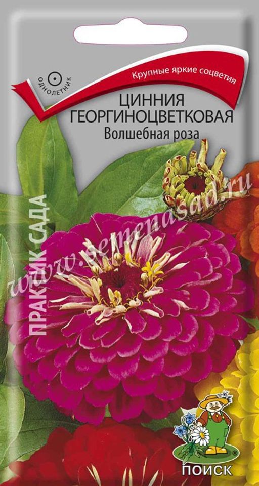 Цинния георгиноцветковая Волшебная роза (ЦВ) (1) 0,4гр.