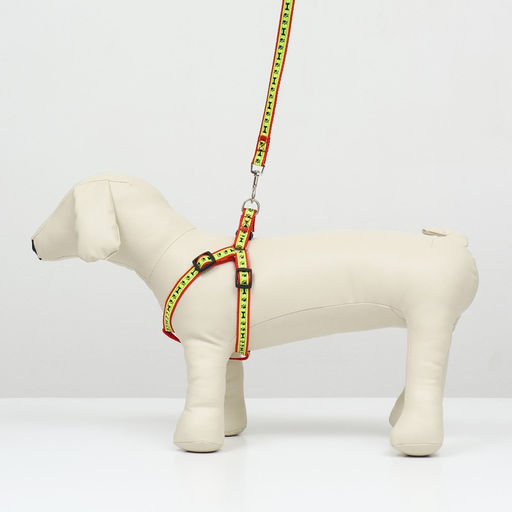 Комплект Косточки и лапки светоотражающий, поводок 120 х 1,5 см, ОГ 36-52 см, красный - Пижон фото 9