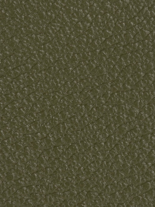 Кошелек Labbra L105-607 moss  фото 4