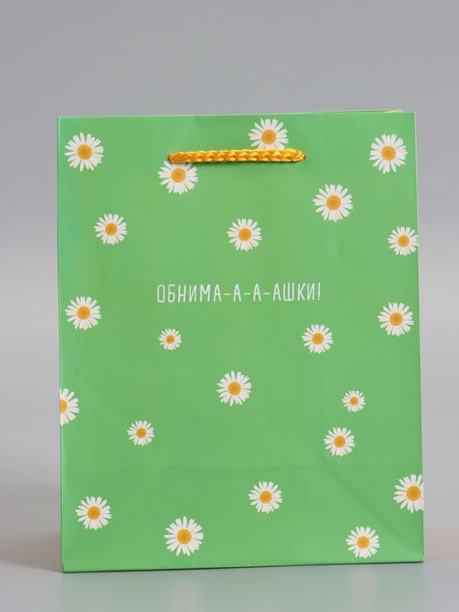Пакет подарочный ламинированный «Ромашки - обнимашки», 18×22.3×10 см