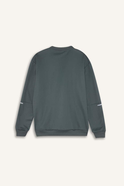 DeFactoFit Стандартный крой, базовый спортивный свитшот с круглым вырезом  фото 3