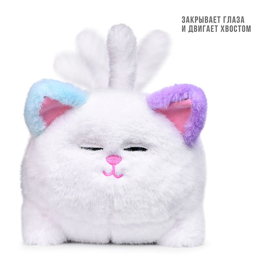 Кошка "Мяу" в коробке