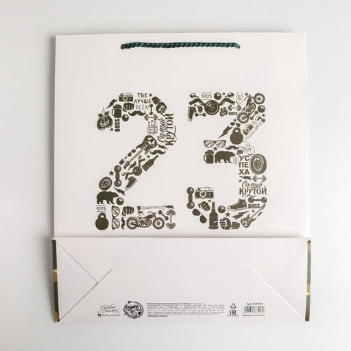 Цена за 2 шт. Пакет подарочный ламинированный, упаковка, «23 февраля», M 26×30×9 см