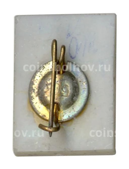 Значок Киев