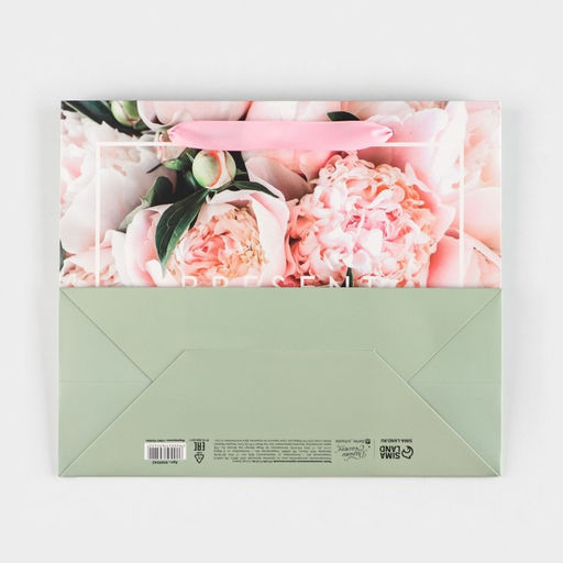 Цена за 2 шт. Пакет подарочный ламинированный, Present, упаковка, ML 27 х 23 х 11.5 см