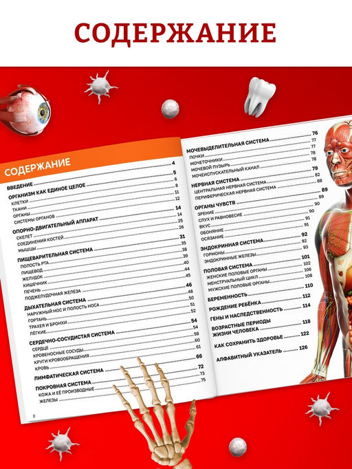 Энциклопедия в твёрдом переплёте "Строение тела человека", 128 страниц.