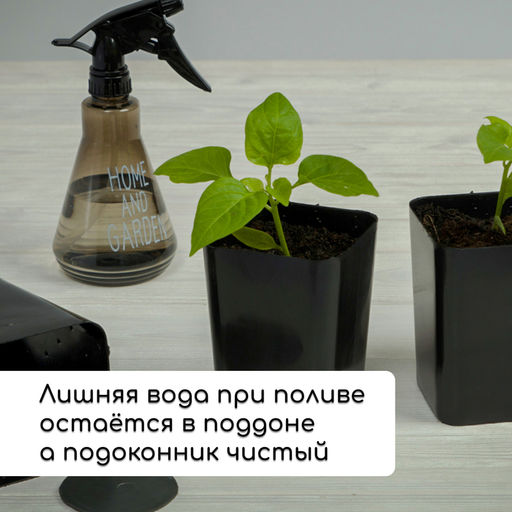 Набор для рассады: стаканы по 700 мл (10 шт.), поддон 44×18 см, чёрный, Greengo