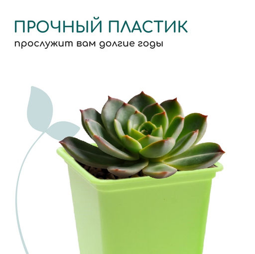 Цена за 36 шт. Горшок для рассады, 250 мл, 7×7×8 см, пластик, МИКС