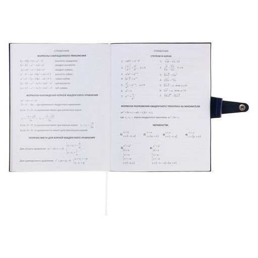 Дневник школьный для 1-11 классов Favorite, мягкая обложка, на кнопке, искусственная кожа, тиснение фольгой, хлястик, ляссе, 48 листов