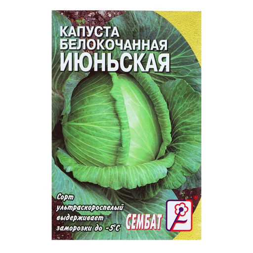 Цена за 5 шт. Семена Капуста белокачанная "Июньская", 0,5 г