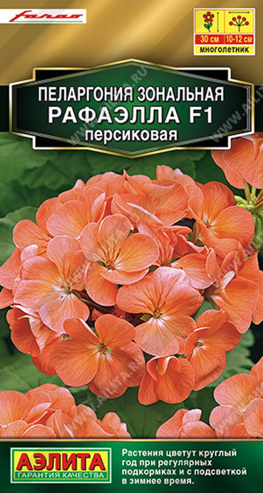 Пеларгония Рафаэлла F1 персиковая