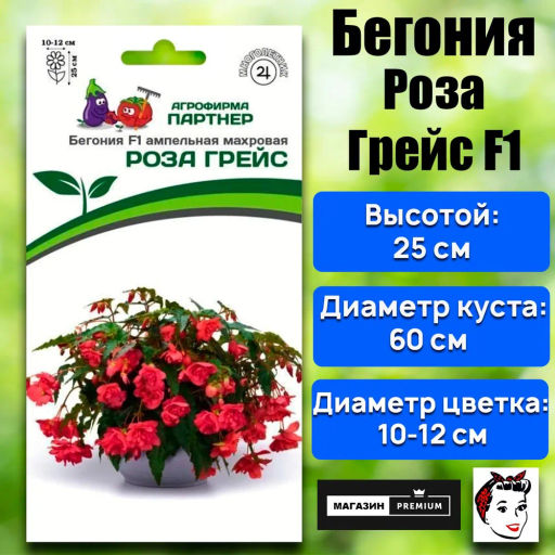 Бегония клубневидная ампельная махровая Роза Грейс - Партнер фото 2