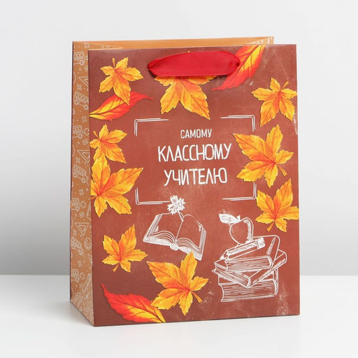 Цена за 2 шт. Пакет подарочный ламинированный, упаковка, «Классному учителю», MS 18 х 23 х 10 см