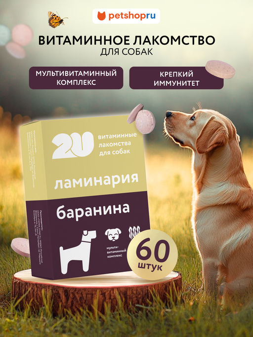 Витаминное лакомство для собак "Для крепкого имунитета", 60 таб. 23тп67