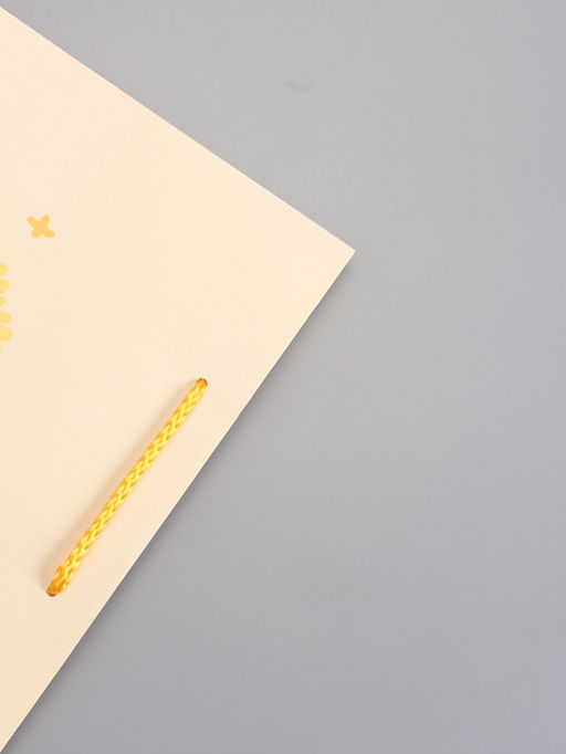 Пакет подарочный ламинированный «Настоящее солнышко», 26×12×32 см