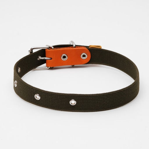 Ошейник брезентовый однослойный, 66 х 3 см, ОШ 33-60 см, тёмно-зелёный - Пижон фото 2