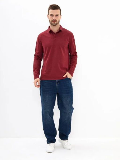 Джемпер мужской с воротником поло GREG G155-PM14T-LT7326 (бордо)  фото 5