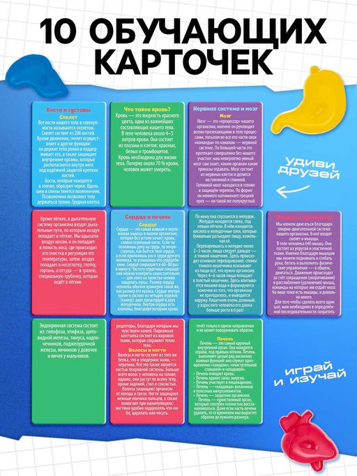 Набор для опытов Мое удивительное тело - Эврики фото 11