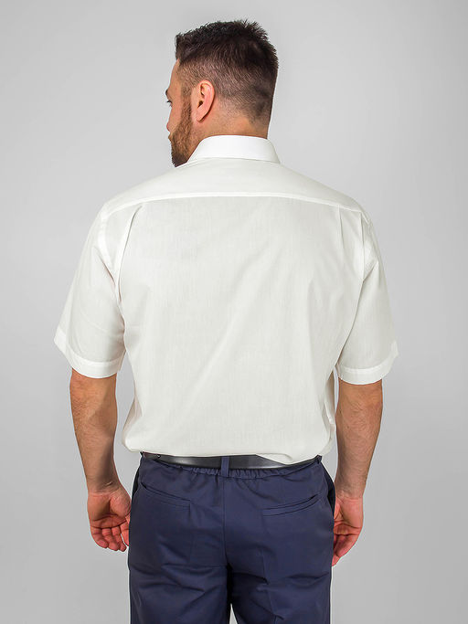 Сорочка мужская короткий рукав GREG 510/109/ALT  фото 6