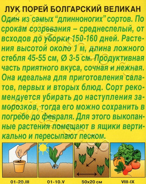 Лук порей Болгарский великан 0,5г (Аэлита)