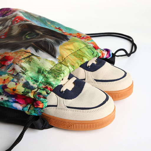 Мешок для обуви на шнурке, с принтом, размер 45×1×34 см, разноцветный