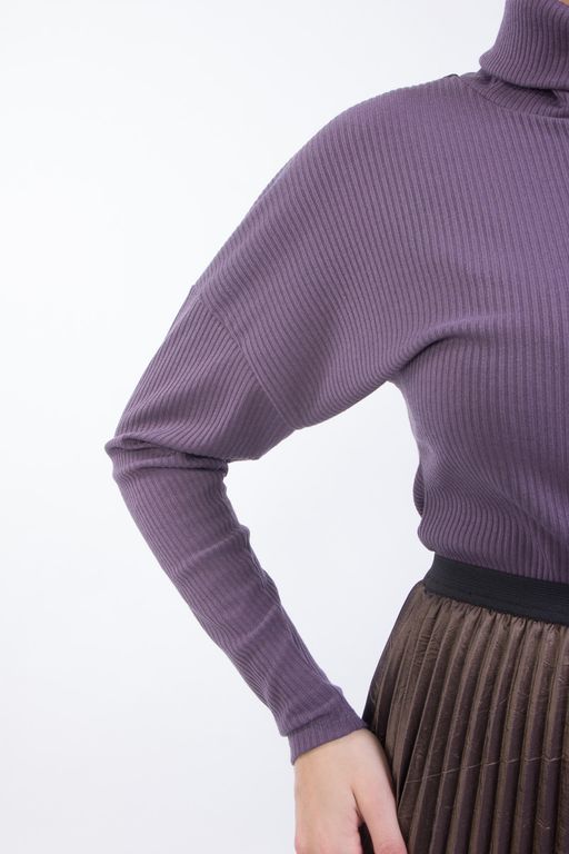 Водолазка В5-2490/6 - Wisell фото 7