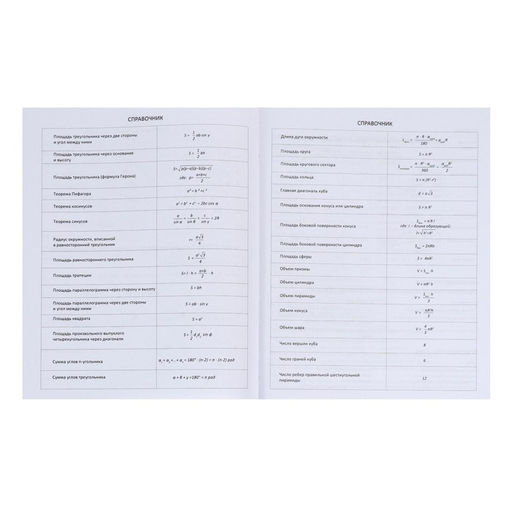 Дневник школьный для 1-11 классов Favorite, мягкая обложка, на кнопке, искусственная кожа, тиснение фольгой, хлястик, ляссе, 48 листов