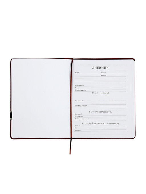 Дневник школьный 1-11 класс, лассе, обложка искуственная кожа коричневая, с хляст, с ручкой   109690