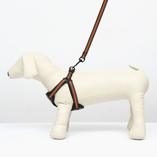 Комплект амуниции светоотражающий, размер M, ОГ 40-70 см, стропа 2 см, оранжевый - Пижон фото 7