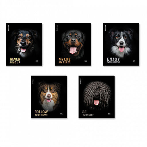 Цена за 5 шт. Тетрадь общая ученическая ErichKrause Собаки, 96 листов, клетка, матовая ламинация_MIX-PACK  фото 2