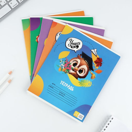 Тетрадь 12 листов в частую косую линейку Учись на 5+, обложка мелованный картон, блок №1, 5 видов МИКС - Artfox study фото 12