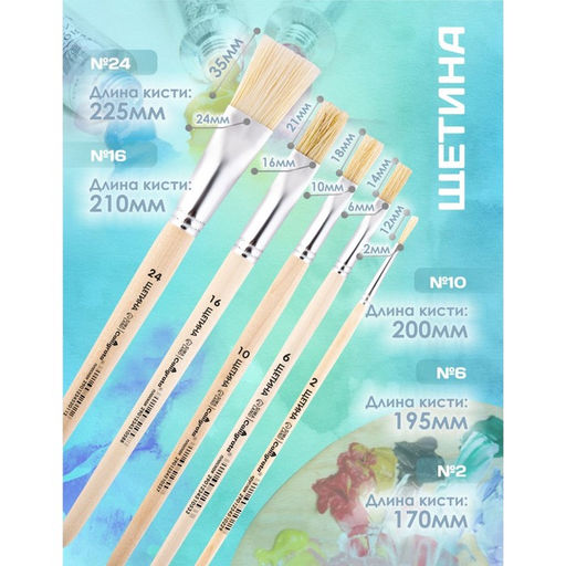 Цена за 2 шт. Набор кистей для рисования, щетина, 5 штук: №: 2, 6, 10, 16, 24, Calligrata, плоские, деревянная ручка, в пакете