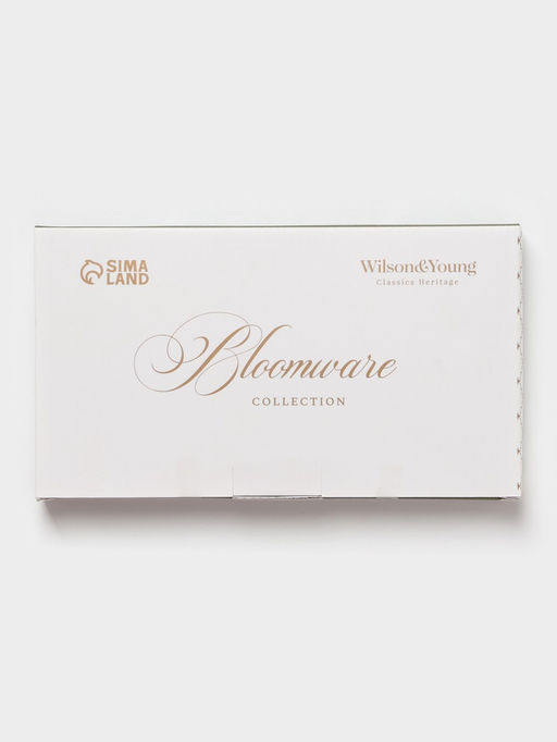 Блюдо для подачи WY Bloomware, 25×14×2.5 см, фарфор, зелёное/белое