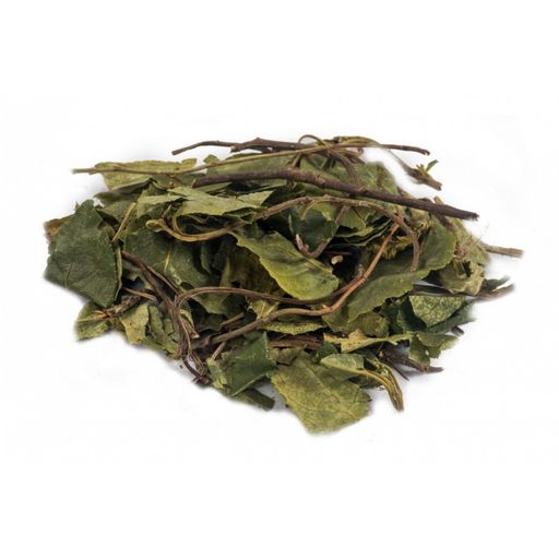 Боровая матка (ортилия однобокая, листья) 20 гр.