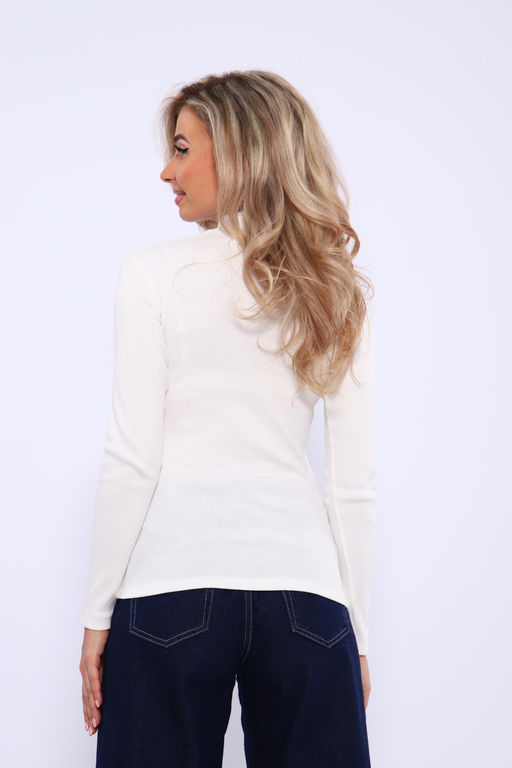 Водолазка ВЖ0059