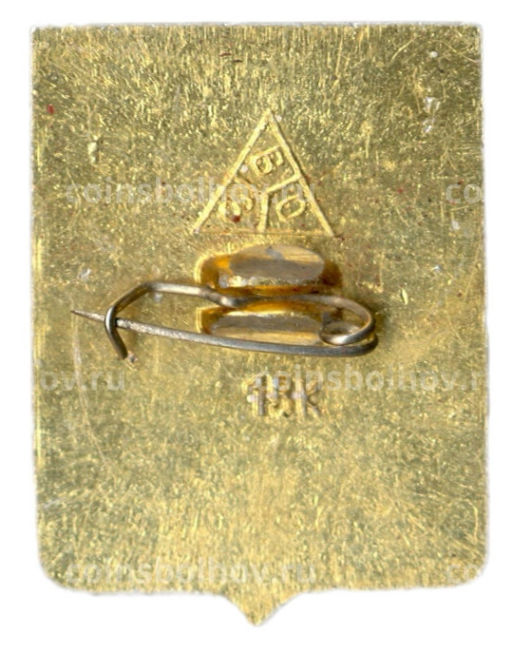 Значок Владимир