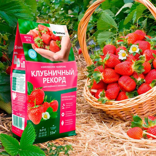 Удобрение комплексное 1кг Клубничный рекорд БИОМАСТЕР - On фото 3