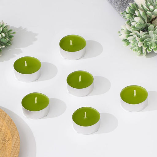 Набор ароматических свечей чайных «Хвоя», 3.8×1.6 см, 3.5 ч, 12 г, 6 шт.